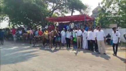 குளித்தலை: குளித்தலையில் மகா மாரியம்மன் திருவிழாவை முன்னிட்டு காளை மற்றும் குதிரை எல்கை பந்தயம் போட்டி நடைபெற்றது