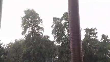 कांठ: भयंकर गर्मी से लोगों को मिली राहत, जनपद में हुई मूसलाधार बारिश