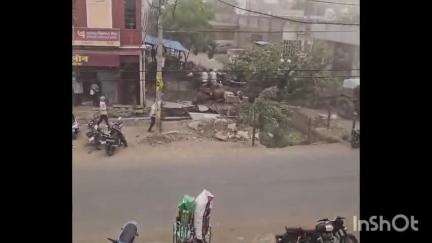सिरोंज: पंजाब नेशनल बैंक के पास आंधी-तूफान में विशाल पेड़ ट्रैक्टर ट्राली पर गिरा, बड़ा हादसा टला