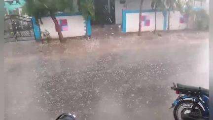 కామారెడ్డి: కామారెడ్డి నియోజకవర్గంలో దోమకొండ, బీబీపేట, బిక్కనూరు, రాజంపేట మండలంలో ఉరుముల మరుపులతో కూడిన భారీ వర్షం