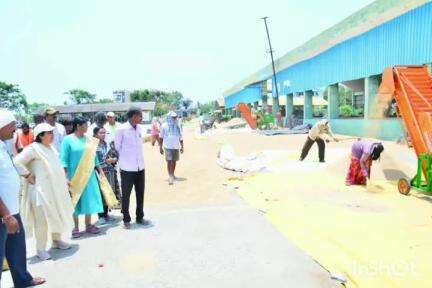 నర్సంపేట: జిల్లా కలెక్టర్ డాక్టర్ సత్య  శారద నర్సంపేట  వ్యవసాయ మార్కెట్ యార్డ్‌లో  గల  పిఎసిఎస్ ధాన్యం కొనుగోలు కేంద్రాన్ని పరిశన