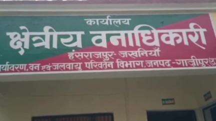 जखनिया: दुल्लहपुर में वन विभाग की बड़ी कार्रवाई, आधा दर्जन अवैध आरा मशीनों पर छापा, भारी मात्रा में प्रतिबंधित लकड़ी बरामद