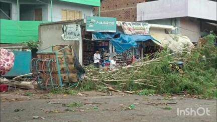 बिशुनपुरा: तेज आंधी में पेड़ की डाली गिरने से NH-75 पर यातायात बाधित