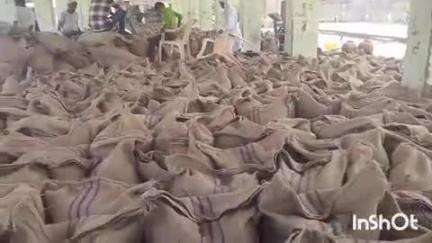 उनियारा: अलीगढ़ में समर्थन मूल्य पर सरसों और चना फसल बेचने में किसान नहीं दिखा रहे रुचि