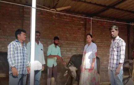 లింగంపేట్: భవానిపేట గ్రామంలో పశు వైద్య శిబిరాన్ని నిర్వహించినట్లు తెలిపిన పశు వైద్యాధికారి ఆనా జోనస్