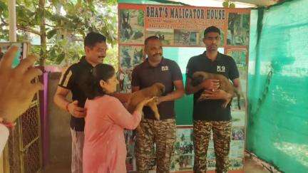 ಅಂಕೋಲ: ವಿಶೇಷ ತಳಿಯ ಶ್ವಾನದ ಮರಿ ಸಿಆರ್‌ಪಿಎಫ್ ಅಧಿಕಾರಿಗಳಿಗೆ ನೀಡಿದ ಭಾವಿಕೇರಿ ರಾಘವೇಂದ್ರ ಭಟ್