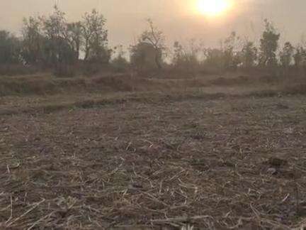 Cg Border Me Halki Barish Ke Bad Mili Garmi Se Rahat #cgborde #babhani #sonbhadra