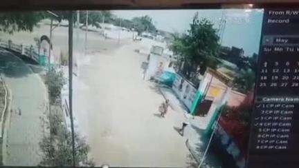 हमीरपुर: बिवांर थाना क्षेत्र के छानी खुर्द में दबंग युवक ने महिला के साथ की मारपीट, घटना सीसीटीवी कैमरों में कैद हुई