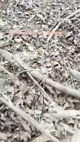 “बच्चों की मस्ती देखकर आपका दिल कैसे झूम उठा?”

#barabanki #viral #viral #viralpost #trendingreels #viralvideos #child