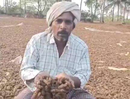 మోపిదేవిలో అకాల వర్షంతో పసుపు పంట నష్టపోయిందని ప్రభుత్వం తమకు నష్టపరిహారం అందజేయాలని కోరిన రైతు బాబురావు