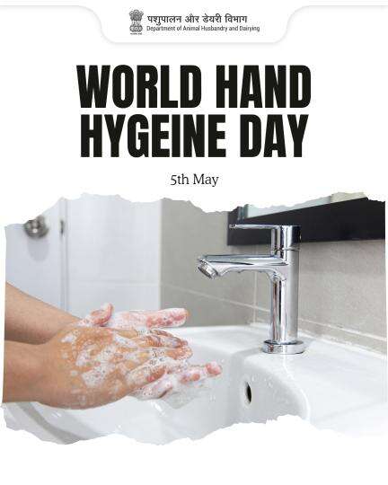 Clean hands, safe milk! 
Protect your herd and market with simple hygiene. One wash at a time.
