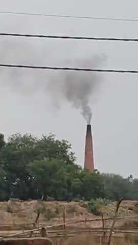 उ प्र प्रतापगढ पट्टी तहसील बेलसंडी गांव में आबादी के समीप अवैध बाराही 551ईंट उद्योग का संचालन जारी कई फलदार पेड़ सूखे