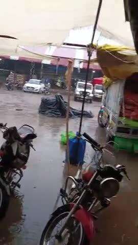 पूरनपुर मंडी में पानी बरसने पर व्यापारियों  मंडी नहीं आए किसानों का हुआ नुकसान #viralvideo #trendingvideo #UttarPradesh
