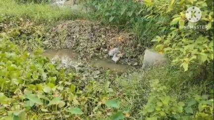 ডায়মন্ডহারবার ২: সাঁকুয়া এলাকা থেকে উদ্ধার অজ্ঞাত পরিচয় ব্যক্তির মৃতদেহ, পাঠানো হল ময়নাতদন্তে