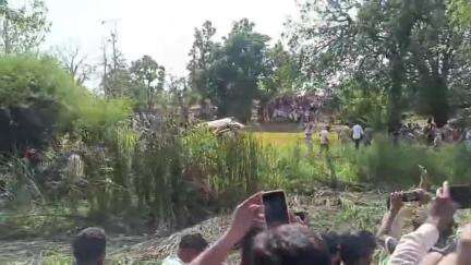 तिरोड़ी: कुड़वा में उत्पात मचा रहे हिंसक बाघ को किया गया रेस्क्यू, वन विहार भोपाल में किया जाएगा शिफ्ट