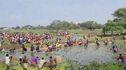 திருப்பத்தூர்: தாமரை ஏமற்றியது, எதிர்பார்த்த மீன்கள் கிடைக்க வில்லை எனக்கூறிய மக்கள் - கண்டரமாணிக்கம் கிராமத்தில் மீன் பிடித்திருவிழா