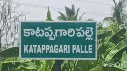 పూతలపట్టు: కులాంతర వివాహం చేసుకున్న అక్కపై చెల్లెలు దాడి చేసిన ఘటనపై వివరణ ఇచ్చిన సీఐ