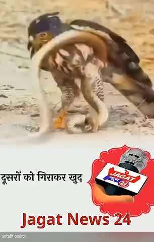 दूसरों को गिरा कर खुद को होशियार मत समझो, जब ऊपर वाला गिराता है तो उठने के लायक भी नहीं छोड़ता।