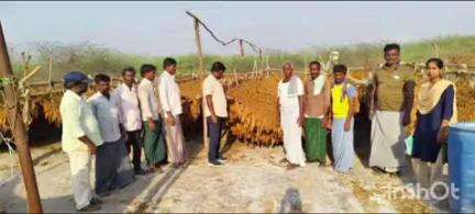 కోడుమూరు: గ్రామాల్లో పర్యటించి పొగాకు రైతులను కలిసిన కోడుమూరు వ్యవసాయ అధికారి రవి ప్రకాష్