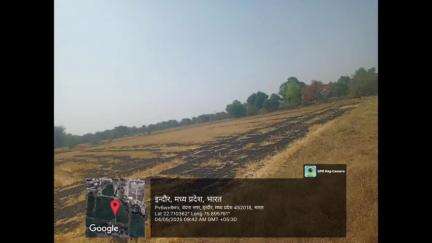 बिचौली हप्सी: कृषि कॉलेज द्वारा पराली जलाने पर लगाया गया जुर्माना, कलेक्टर ने पराली जलाने पर लगाया है प्रतिबंध