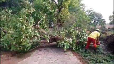 କେନ୍ଦୁଝର ସହର: କାଳବୈଶାଖୀରେ ନୂଆପଡ଼ା ରାସ୍ତା ଉପରେ ପଡ଼ିଲା ବିରାଟ ବଡ଼ ଗଛ ପଡ଼ି ଅବରୋଧ, ଯାତାୟାତ ବାଧାପ୍ରାପ୍ତ