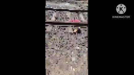 वणी: वणी रेल्वे स्थानकावर नंदीग्राम एक्सप्रेस खाली येऊन तरुणीने केली आत्महत्या