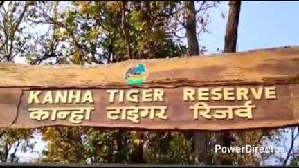 नैनपुर: कान्हा नेशनल पार्क में गिद्धों की संख्या में वृद्धि, एक दिवसीय गणना के आंकड़े