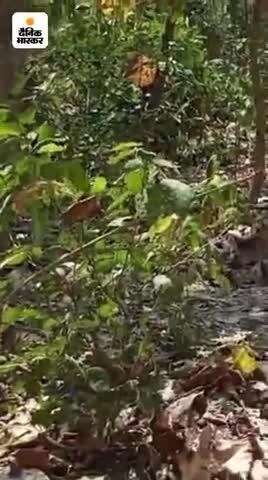 भिनगा में दर्दनाक सड़क हादसा : अज्ञात वाहन ने मारी बाइक को टक्कर एक की मौत एक घायल