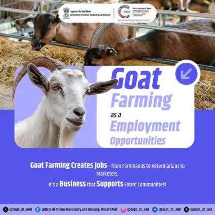 Goat Farming and Employment Opportunities
Creating jobs, building communities! 
Goat farming provides employment opportunities from farmhands to marketers. A business that supports everyone!
#AnimalHusbandry #goatfarming