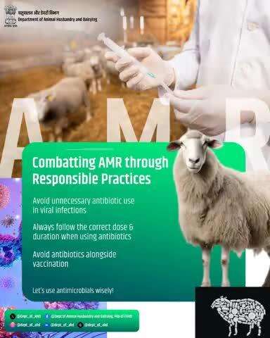 Combatting Antimicrobial Resistance
AMR begins with responsible practices. Avoid using antibiotics for viral infections, always follow the correct dose and duration, and never use antibiotics as a substitute for vaccination.