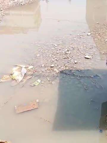 ग्राम सभा मारुफपुर में अशोक चौरसिया की दुकान के ठीक सामने पानी लग जाने से भी कितनी तकलीफ