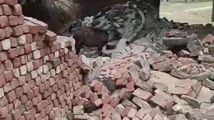 लहरपुर: लहरपुर कोतवाली क्षेत्र के एक गांव में दीवार गिरने से 2 लोग हुए घायल, घायलों को जिला अस्पताल किया गया रेफर