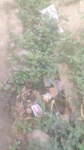 Bansi Nagar Palika hai mohalla Subhash Nagar ki nale saaf nahin hai ek mahinon se