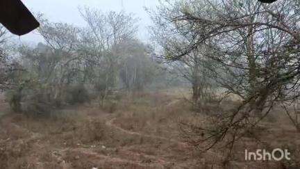 વાપી: વાપી તાલુકામાં કડાકા ભડાકા સાથે વરસાદ, ખેડૂતો ચિંતા વધી