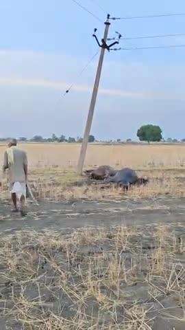 खानपुर तहसील में सुवालिया गांव में बिजली के तार टूटते ने दो gaban बेंसे की मौत हो गई  बहुत पुरानी लाइन है