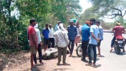 गुण्डरदेही: गुण्डरदेही के चिमनी ईटा भट्ठा के पास तेज रफ्तार हाईवा वाहन ने रेत से भरी मवेशी को मारी ठोकर, घटना स्थल पर हुई मौत
