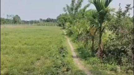 আলিপুরদুয়ার ২: তুরতুরি বিশ্বাস পাড়ায় গর্ভবতী মহিলাদের সাইকেলে বসিয়ে পাকা রাস্তায় তুলতে হয়  #jansamsya