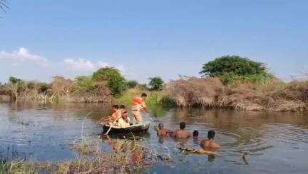 ಮೊಳಕಾಲ್ಮುರು: ಅತ್ತಿಮಗ್ಗೆ ಗ್ರಾಮದಲ್ಲಿ ಕುರಿಗಳ ಮೈ ತೊಳೆಯಲು ಹಳ್ಳಕ್ಕೆ ಇಳಿದ ದಂಪತಿ ನೀರುಪಾಲು