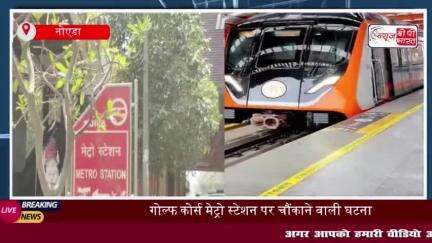 Noida Metro Suicide: नोएडा में मेट्रो के आगे कूदकर युवती ने दी जान, गोल्फ कोर्स स्टेशन का मामला
#Noida #Metro #Suicide