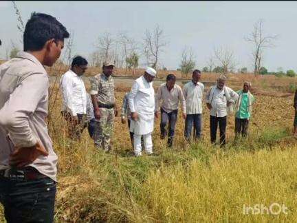 चंद्रपूर: खासदार डॉक्टर नामदेव किरसान यांची वादळी व गारपीठामुळे नुकसानग्रस्त भागांना भेट