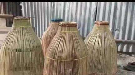 হরিণঘাটা: পোলো বা ঝকা দিয়ে মাছ ধরার হিড়িক নদীয়ার হরিণঘাটার কাষ্ঠডাঙ্গায়