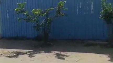 சிவகாசி: கவிதா நகரில் அதிகாலையிலேயே  மதுபானம் விற்பனை செய்யும் வீடியோ வைரல் #viral