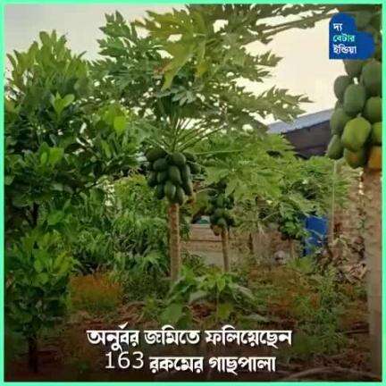 অনুর্বর হয়ে পরে থাকা জমিতে ফলালেন গাছ, বানালেন মাটির বাড়ি | Eco Friendly Home | Mud House