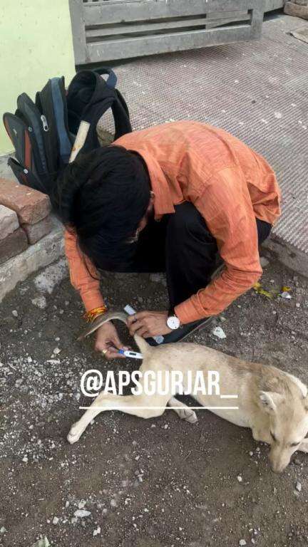 हमने पूरी कोशिश की लेकिन हम असफल रहे। 😞उसे बहुत तेज़ बुखार था हमें देर से पता चला 🥺 #apsgurjar #help #viral #support #dogslife #gwalior