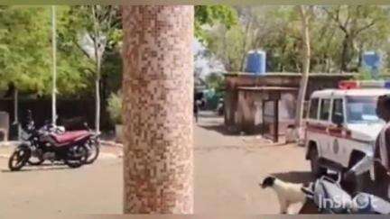 चिखलदरा: मेळघाटातील कुही व कोहाना गावात वीज कोसळून दोघे ठार,तर चार जखमी