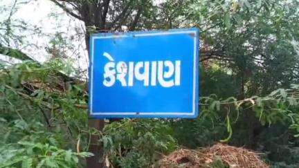 વાગરા: વાગરા તાલુકાનાકેશવણ ગામમાં તળાવ પાસે પંચાયતની બનાવેલી ઓરડી નજીક ભેંસને કરંટ લાગતા તેનું મોત નીપજો#vagara #bharuch#news
