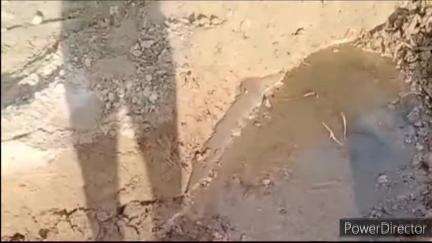 गलोड़: तूतडू के क्षेत्र में बर्बाद हो रहा हजारों लीटर पानी, जल शक्ति विभाग की कई लाइनों से हो रही लीकेज