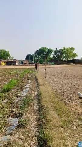 kheto me bakri bhi charati hai ulta fasane ki dhanki bhi