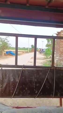 नगला सपिय जैरेलियसरय जिला एटा
