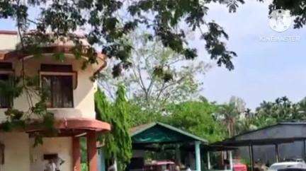 সৰুপথাৰ: ভয় ভাবুকিৰে ধন দাবী কৰি ৰাইজৰ লপাথপা খোৱা ভণ্ড নেতা  দিপেন গগৈৰ লগতে আন  দুজনক  জেল হাজোতলৈ প্ৰেৰণ